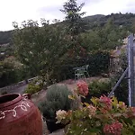 The Artist's House *
