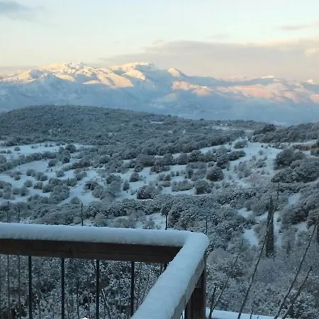 シャレー The Artist's House Psárion