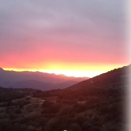 The Artist's House * Ψάρι