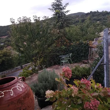 The Artist's House *