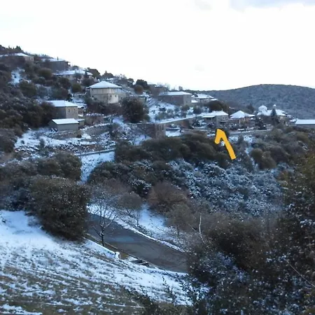 The Artist's House * Psárion