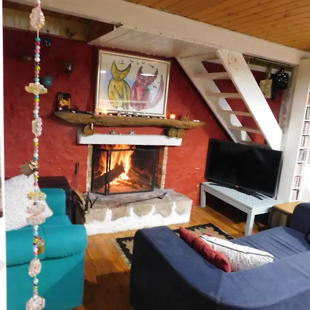 The Artist's House Ψάρι