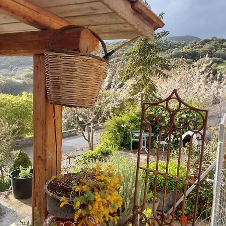 The Artist's House Chalet *