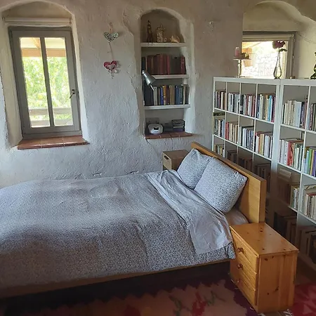 The Artist's House * Ψάρι