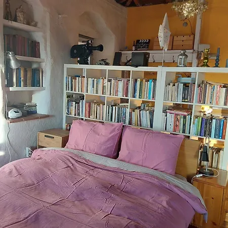 The Artist's House בקתה *