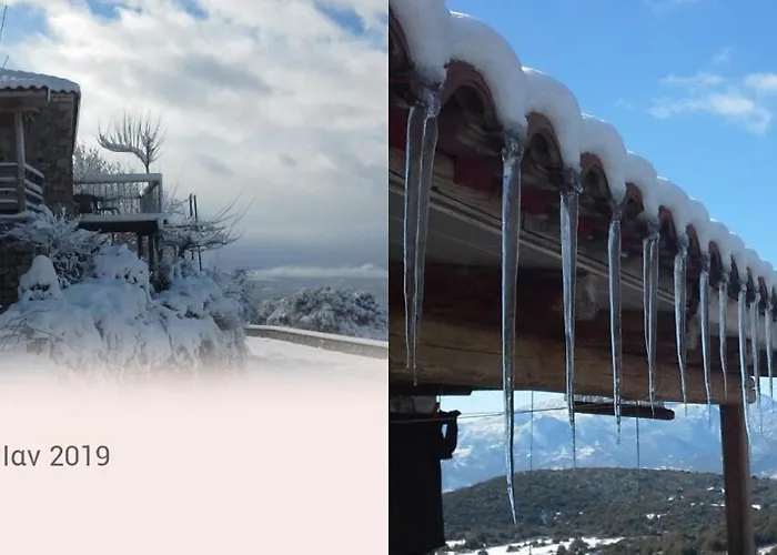 Alpehytte The Artist's House