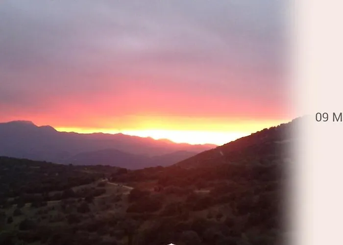 The Artist's House * Psárion