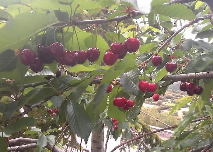 The Artist's House Alpstuga