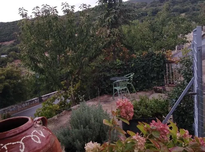 The Artist's House *