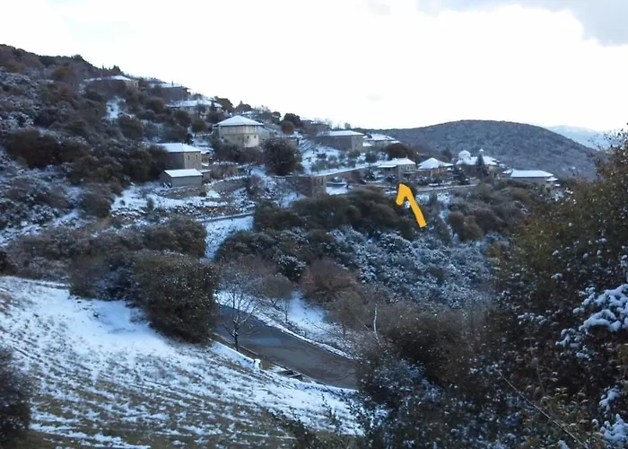 The Artist's House * Psárion