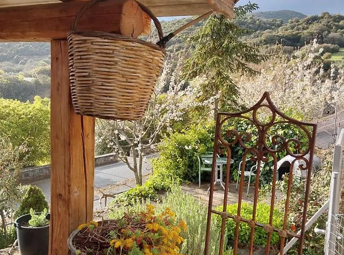 The Artist's House Alpehytte *