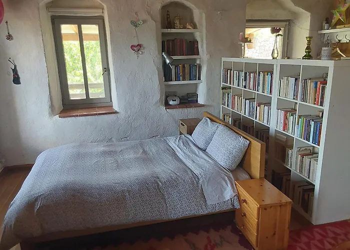 The Artist's House * Psárion